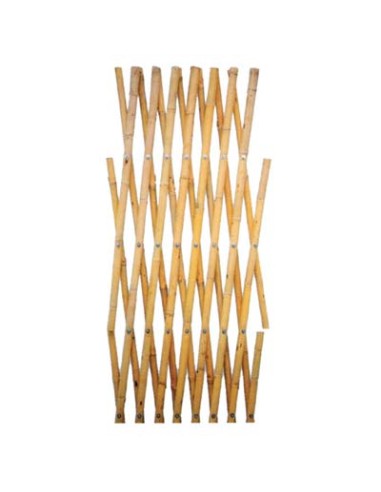 TRALICCIO CANNA BAMBOO DOMUS MM 16/18 CM 150X180