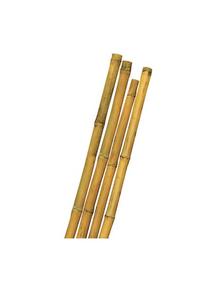 TUTORE CANNA BAMBOO STARS MM MAX 14 H.CM 120