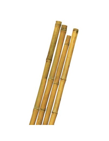 TUTORE CANNA BAMBOO STARS MM MAX 24 H.CM 210