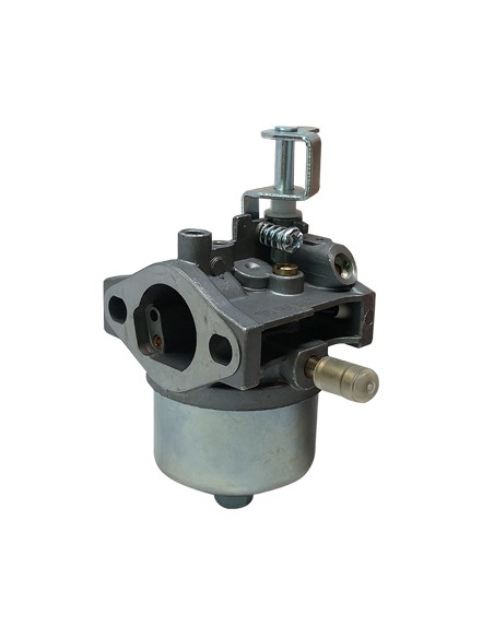 CARBURATORE RASAERBA 43 STARS Y6850000000