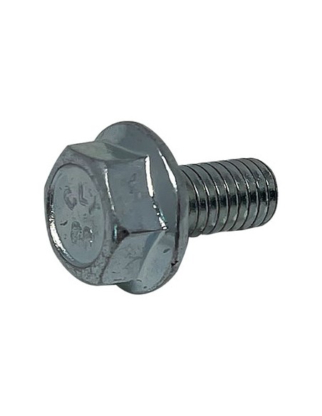 VITE RASAERB 42 43 46-S-SBS 51S1-S2-SBS 53SH STARS ASSE RUOTE B1058W06012