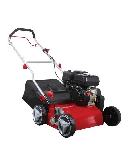 SCARIFICATORE LEONARDO 42 STARS 4T CC 212 CM 42 LT 40