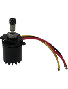 MOTORE + PIGNONE SEGA EASYCUT REX STARS N°12 + N°13