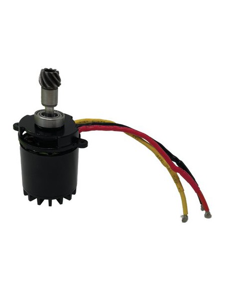 MOTORE + PIGNONE SEGA EASYCUT REX STARS N°12 + N°13