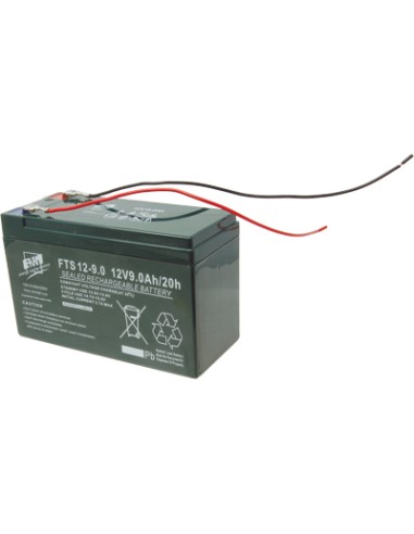BATTERIA PB/ACIDO VOLT 12 AH 9 FAAM