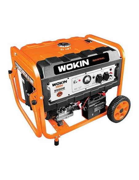 GENERATORE CORRENTE 791255 WOKIN 4T KW 5,5/5,0 MONOFASE