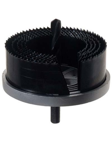 SEGA A TAZZA PG 732.00 MM 25/62 H.MM 50 7 LAME