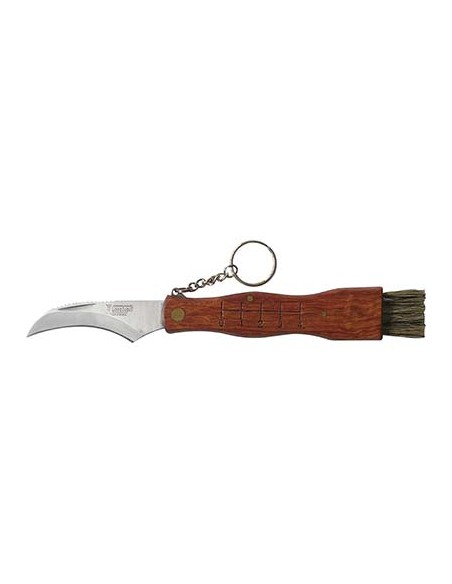 COLTELLO SERRAMANICO X FUNGHI DE LUCA INOX/LEGNO + SPAZZOLINO CM 19