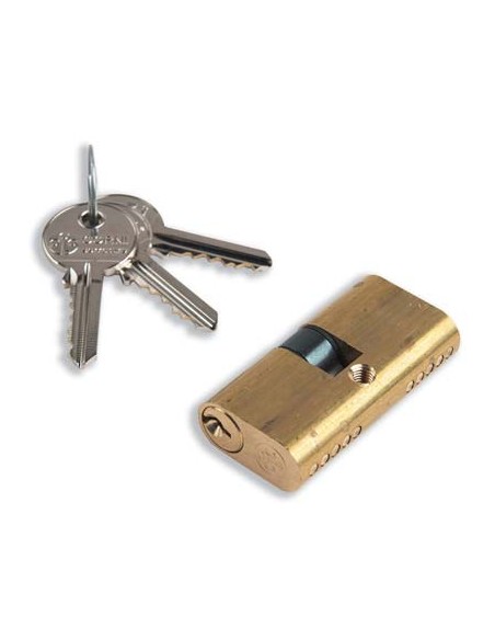 CILINDRO OVALE 09010 CORNI OTTONE CHIAVI 3 MM 60 30+30