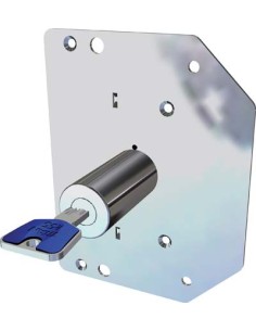 CILINDRO + FODERINA K55N/3 CR X SERIE 3000 D.MM 29 L.MM 60