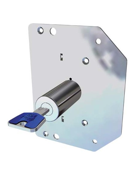 CILINDRO + FODERINA K55N/3 CR X SERIE 3000 D.MM 29 L.MM 60