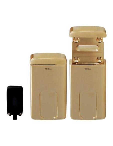 DEFENDER MAGNETICO MG220 DISEC DM MM 110X55 OTTONE LUCIDO