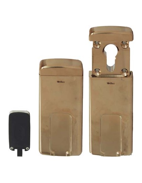 DEFENDER MAGNETICO MG310 DISEC F.SAGOM MM 110X55 OTTONE LUCIDO