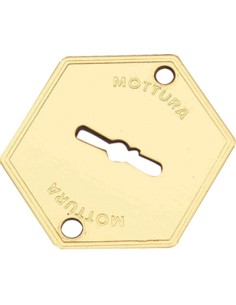 MOSTRINA PORTA BLINDATA 95223 MOTTURA DM OTTONE MM 52X64