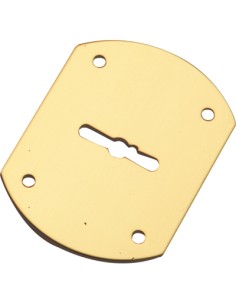 MOSTRINA PORTA BLINDATA A BOTTE 95223/B MOTTURA DM OTTONE MM 52X70