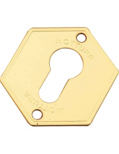 MOSTRINA PORTA BLINDATA 95297 MOTTURA F.SAGOM OTTONE MM 52X64