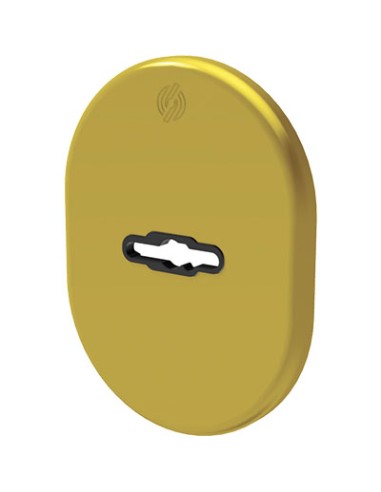 MOSTRINA PORTA BLINDATA 4301 SECUREMME DM OTTONE LUCIDO MM 82X62