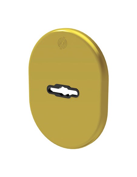 MOSTRINA PORTA BLINDATA 4301 SECUREMME DM OTTONE LUCIDO MM 82X62