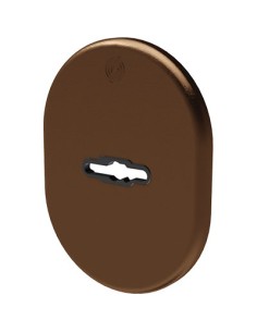 MOSTRINA PORTA BLINDATA 4301 SECUREMME DM ALLUMINIO BRONZATO MM 82X62