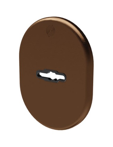 MOSTRINA PORTA BLINDATA 4301 SECUREMME DM ALLUMINIO BRONZATO MM 82X62