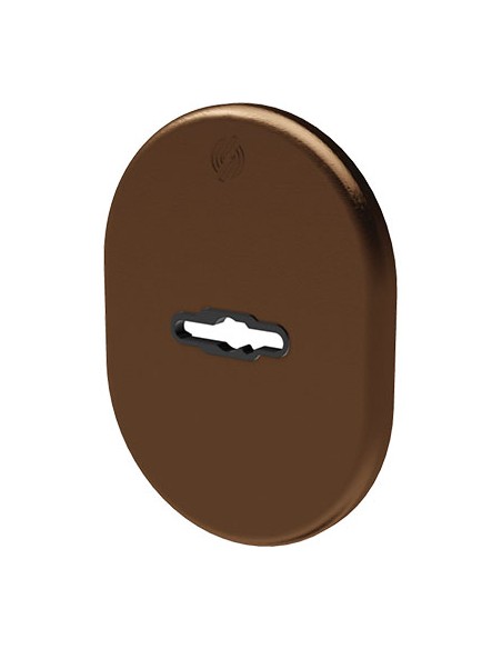 MOSTRINA PORTA BLINDATA 4301 SECUREMME DM ALLUMINIO BRONZATO MM 82X62