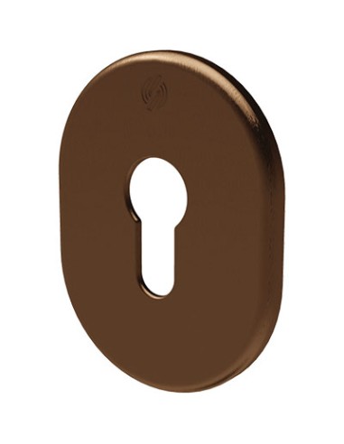 MOSTRINA PORTA BLINDATA 4302 SECUREMME F.SAGOM ALLUMINIO BRONZATO MM 82X62