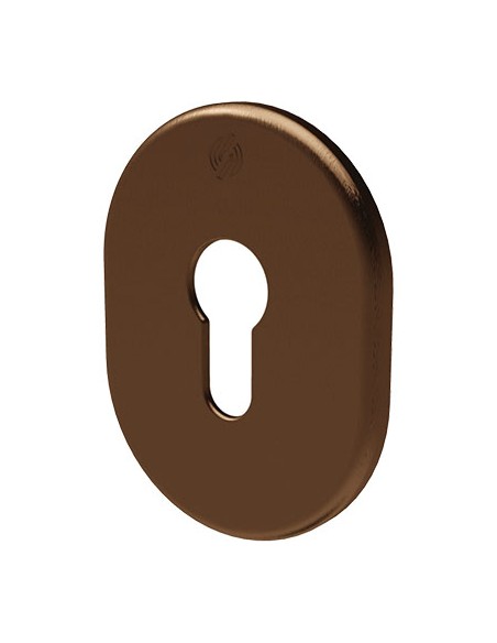 MOSTRINA PORTA BLINDATA 4302 SECUREMME F.SAGOM ALLUMINIO BRONZATO MM 82X62