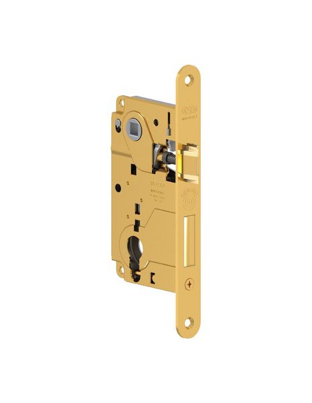 SERRATURA LEGNO INFILARE CENTRO AGB B.T OTTONATO F.MM 22 F.SAGOM M2+SCR+Q8 E.MM 50