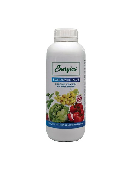 CONCIME LIQUIDO BORDOMIL PLUS ENERGICA GR 300