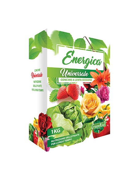 CONCIME GRANULARE LENTA CESSIONE UNIVERS ENERGICA KG 1