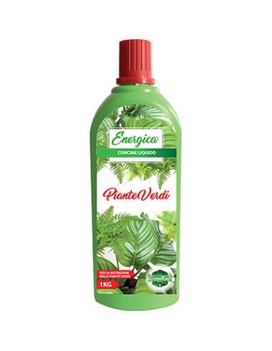 CONCIME LIQUIDO PIANTE VERDI ENERGICA KG 1