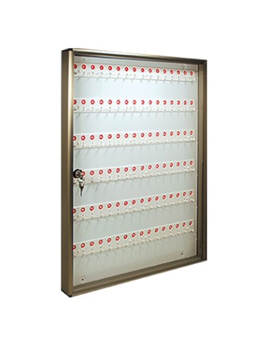 BACHECA PORTA CHIAVI ALUBOX ALLUMINIO BRONZATO CHIAVI 96 MM 550X50 H.MM 730