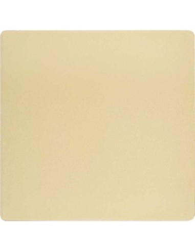 PIETRA FORNO PIZZA DELIZIOSO DOMUS MM 335X335