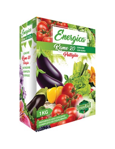 CONCIME POLVERE RAME 20 ENERGICA KG 1