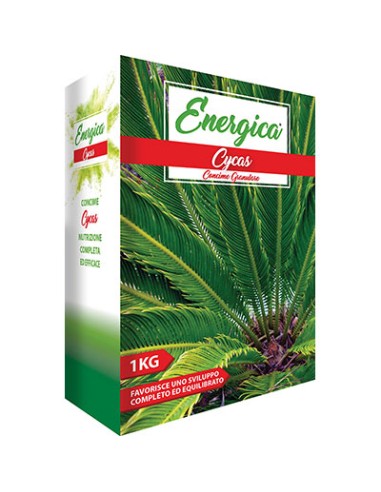 CONCIME GRANULARE CYCAS ENERGICA KG 1