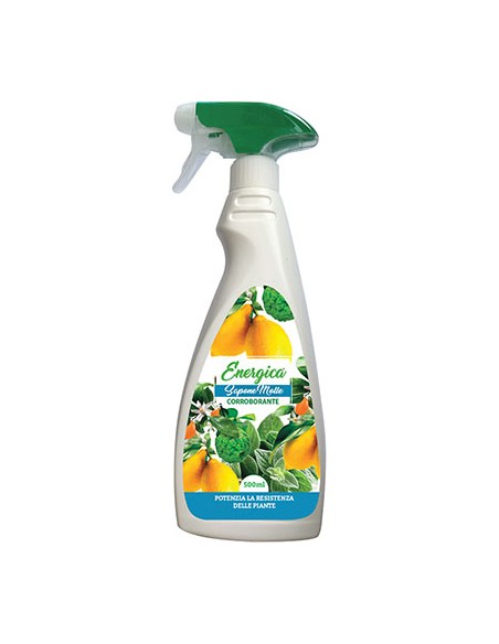 CORROBORANTE SAPONE MOLLE SPRAY ENERGICA ML 500