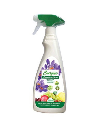 INSETTICIDA ORTICA SPRAY ENERGICA GR 500