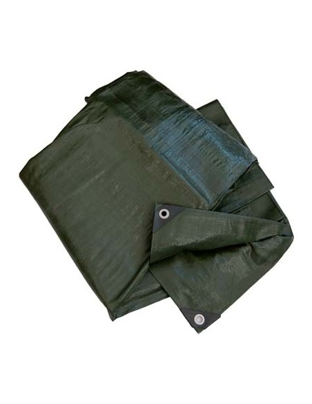 TELONE OCCHIELLATO PE PESANTE VERDE WORKIT GR/MQ 180 MT 8X10