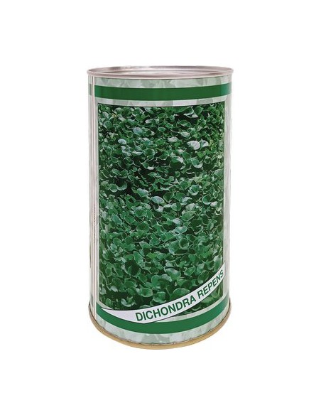 SEME PRATO DICHONDRA REPENS GR 500