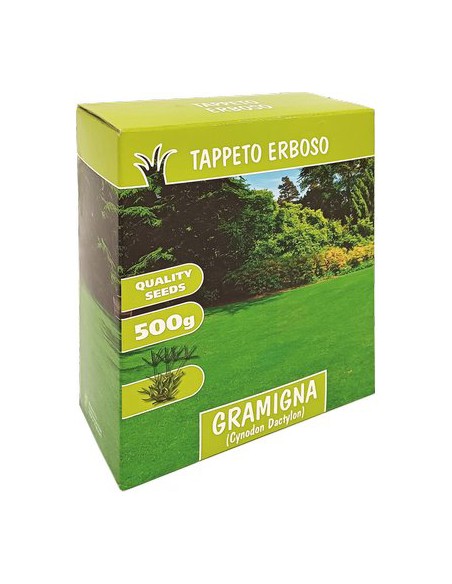 SEME PRATO GRAMIGNA GR 500