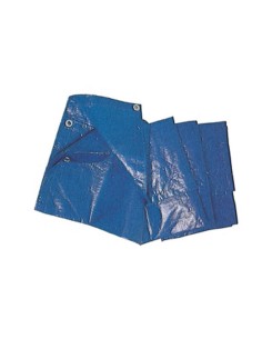C TELO OCCHIELLATO PE BLU  8X10M  85GR