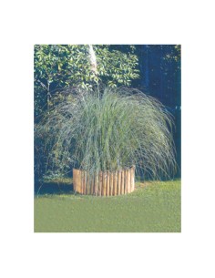 BORDURA IN PINO IMPREGNATO ROTOLO 180XH20 CM