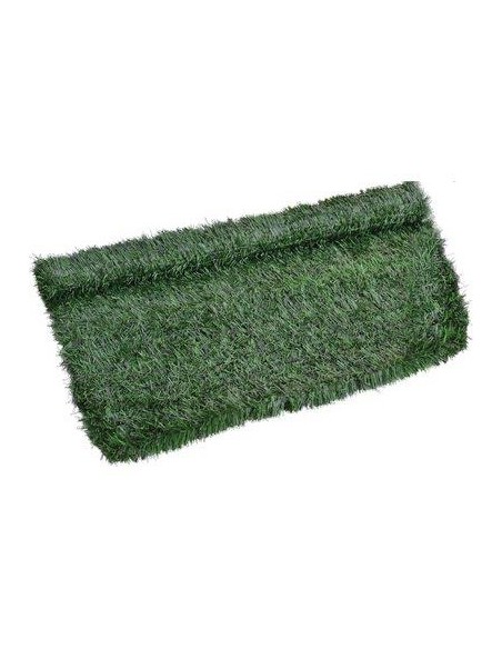 SIEPE SEMPREVERDE ABETE PE VERDE H.CM 100 L.MT 3