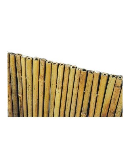 ARELLA STUOIA BAMBOO EXTRA STARS CANNA PULITA MM 20-28 L.MT 3 H.CM 100