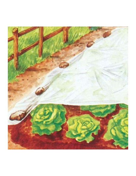 TELO ANTIGELO TNT PESANTE PROTEZIONE PIANTE STARS BIANCO GR/MQ 30 L.MT 250 H.CM 200