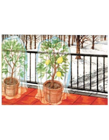 TELO ANTIGELO TNT PROTEZIONE PIANTE TUBOLARE STARS BIANCO GR/MQ 22 L.MT  10 D.CM 160