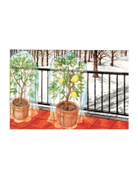 TELO ANTIGELO TNT PROTEZIONE PIANTE TUBOLARE STARS BIANCO GR/MQ 22 L.MT  10 D.CM 160