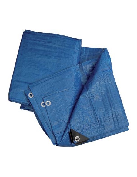 TELONE OCCHIELLATO PE BLU WORKIT GR/MQ 90 MT  3X3