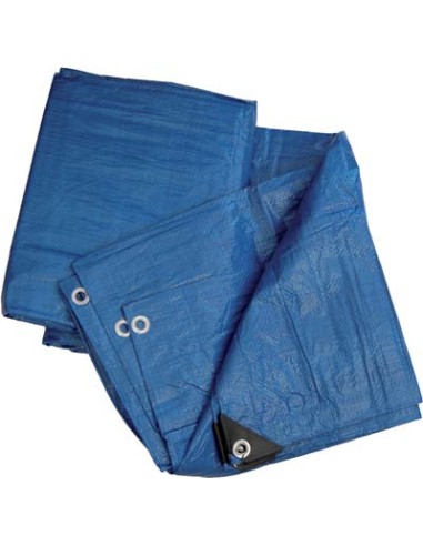 TELONE OCCHIELLATO PE BLU WORKIT GR/MQ 90 MT  3X4