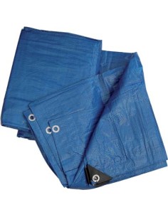 TELONE OCCHIELLATO PE BLU WORKIT GR/MQ 90 MT  6X 8